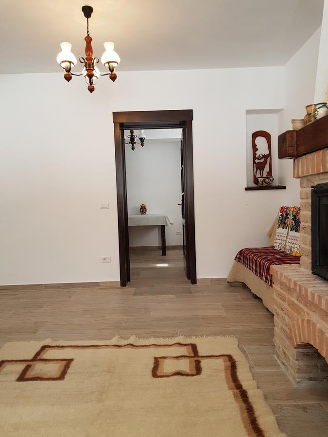 Pensiunea Pietrosul Rodnei مويزي المظهر الخارجي الصورة